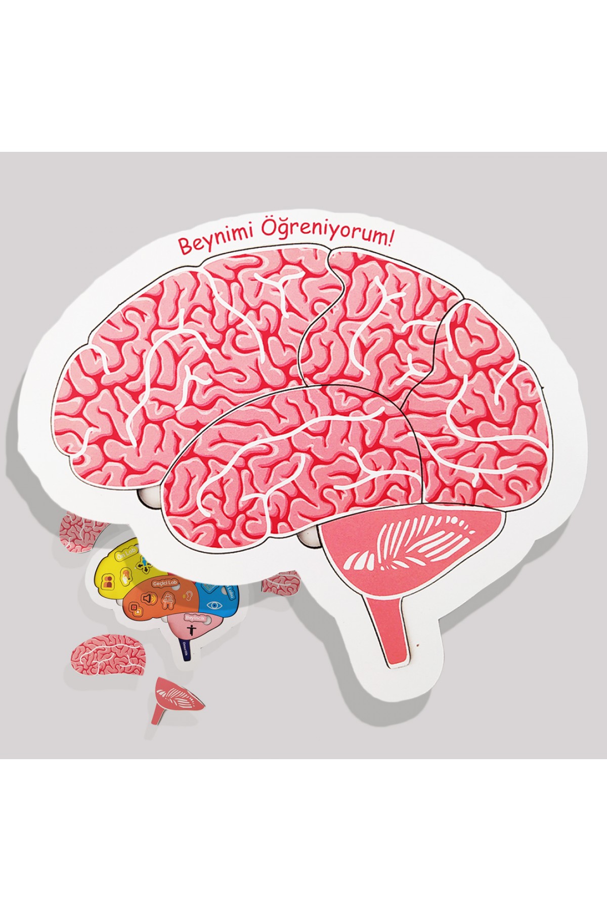 Fen Bilgisine ve Okul Derslerine Yardımcı Renkli Montessoriye Uygun Ahşap Üçlü Puzzle Oyuncak Seti